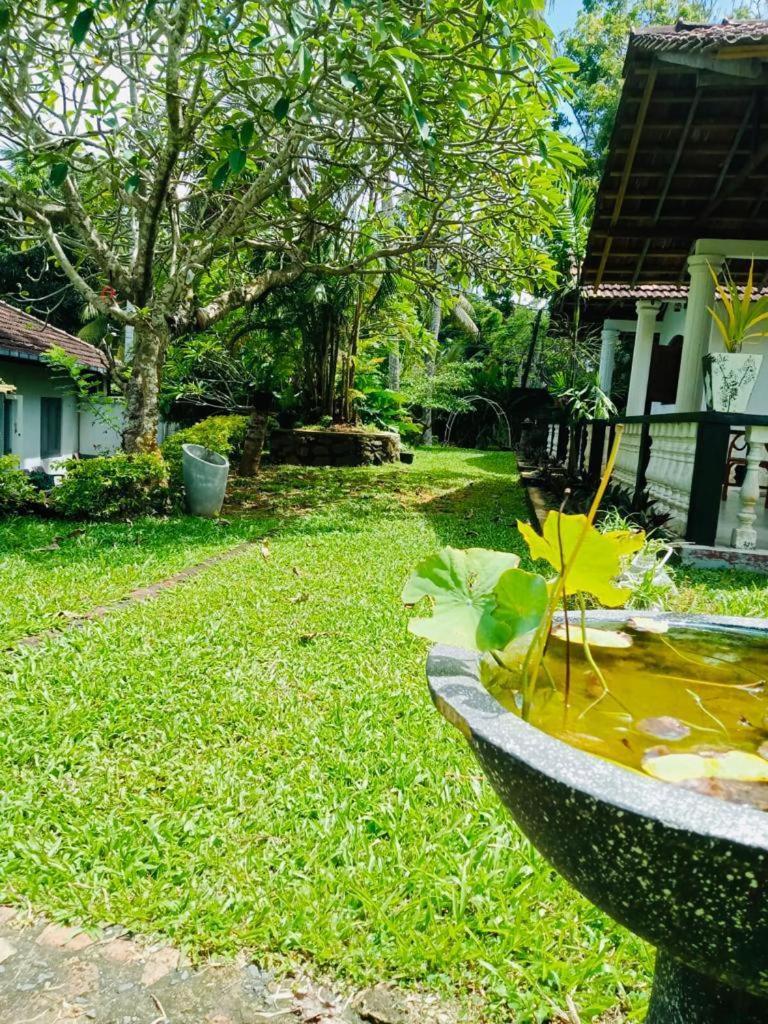 Freedom192 Hotel Weligama Exterior photo
